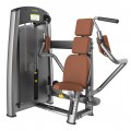      DHZ Fitness A813 -  .      - 