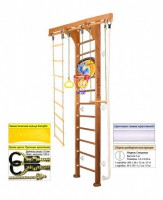  Kampfer Wooden Ladder Wall Basketball Shield s-dostavka -  .      - 