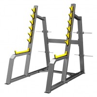        DHZ Fitness A3050 -  .      - 