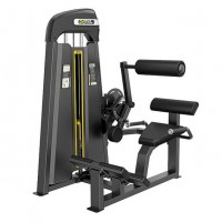       DHZ Fitness E3031 -  .      - 